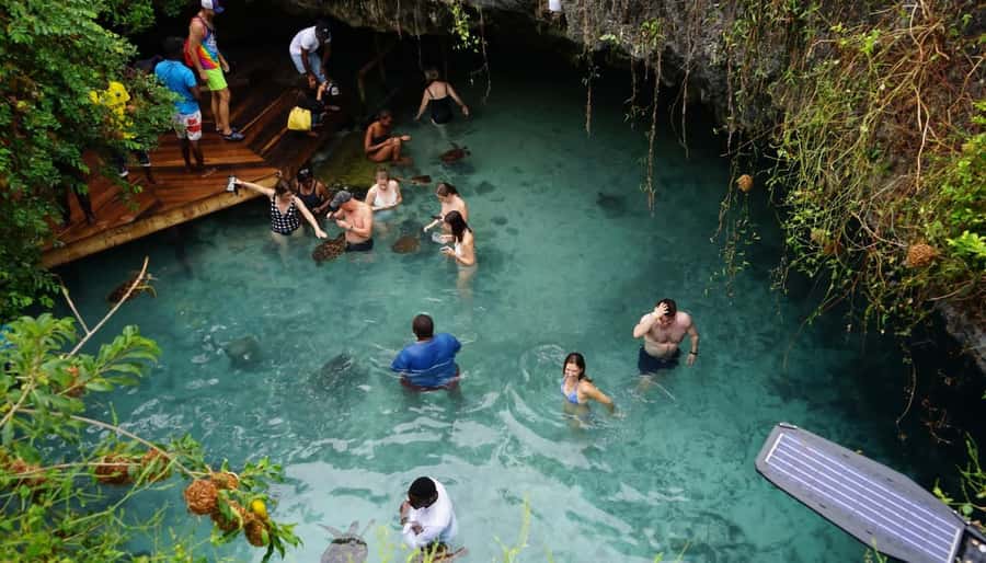 Zanzibar: Swimming with Sea turtles at Salaam cave - Price and value: what $43 really buys you