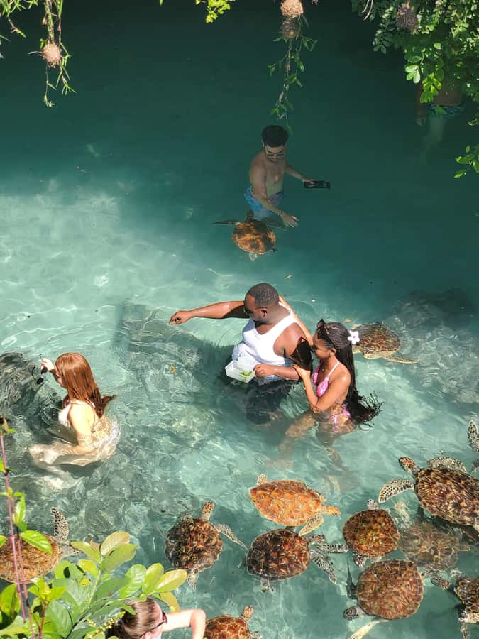 Zanzibar: Swimming with Sea turtles at Salaam cave - Who this is best for, and who should skip it