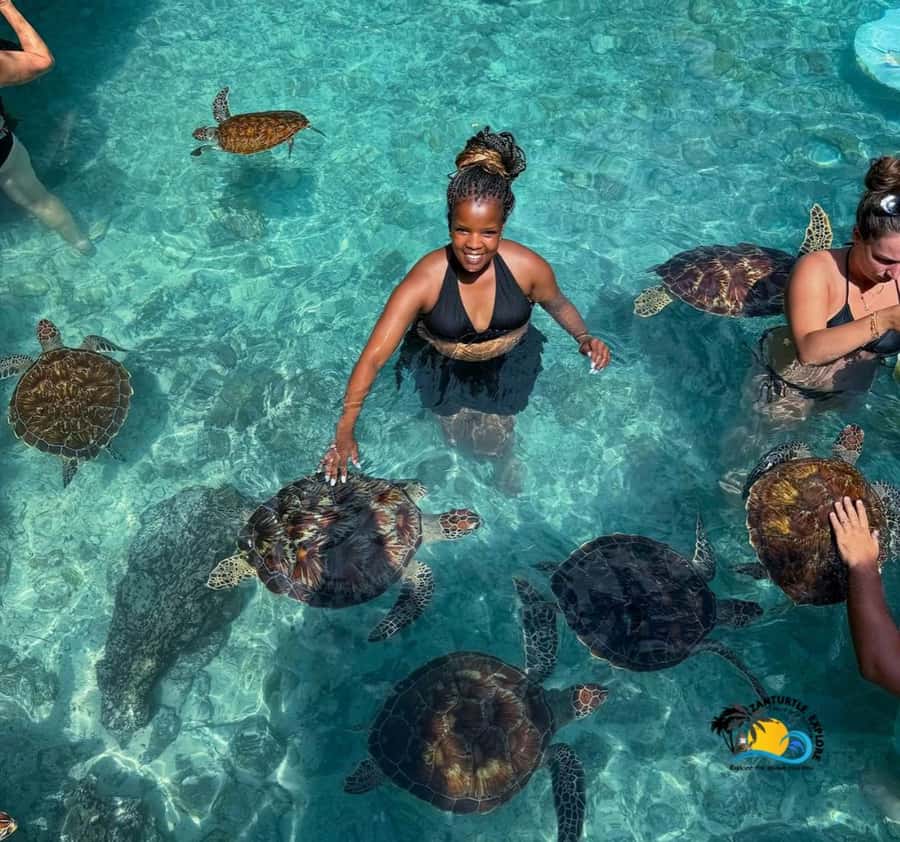 Zanzibar: Swimming with Turtles at Salaam Cave Aquarium - Salaam Cave Aquarium: Why This Turtle Swim Feels Different