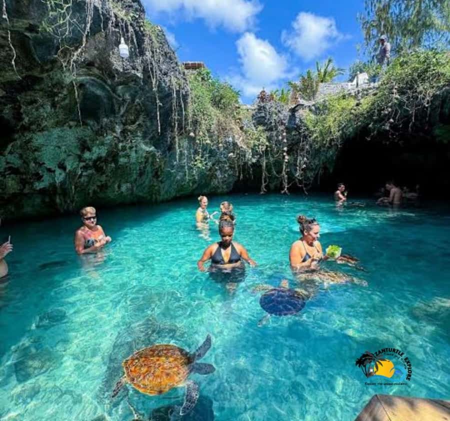 Zanzibar: Swimming with Turtles at Salaam Cave Aquarium - Inside the Aquarium Visit: Walk, Photo Stop, and Cave Footing