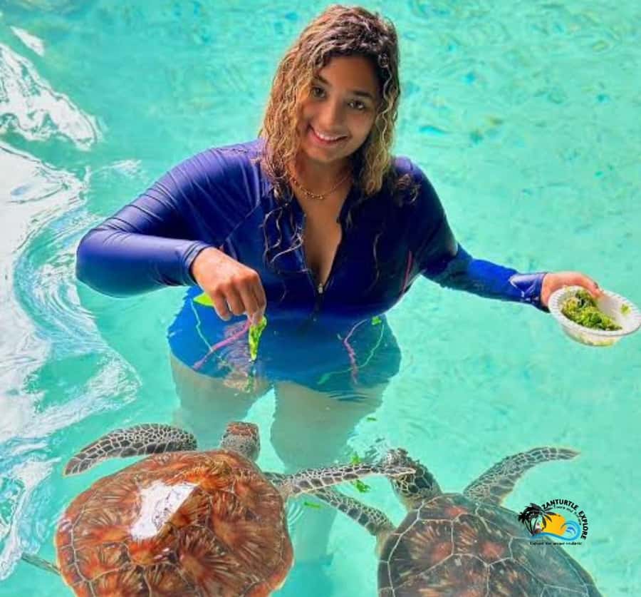 Zanzibar: Swimming with Turtles at Salaam Cave Aquarium - Swimming and Snorkeling With Sea Turtles: What Happens in the Water