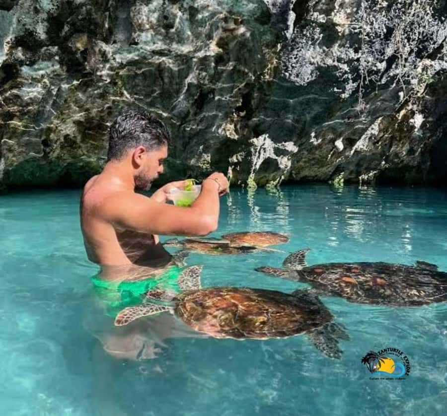 Zanzibar: Swimming with Turtles at Salaam Cave Aquarium - The Conservation Angle: Why Your Ticket Has a Purpose