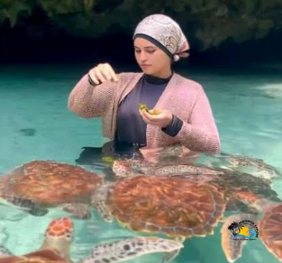 Zanzibar: Swimming with Turtles at Salaam Cave Aquarium - Small Print That Makes a Big Difference