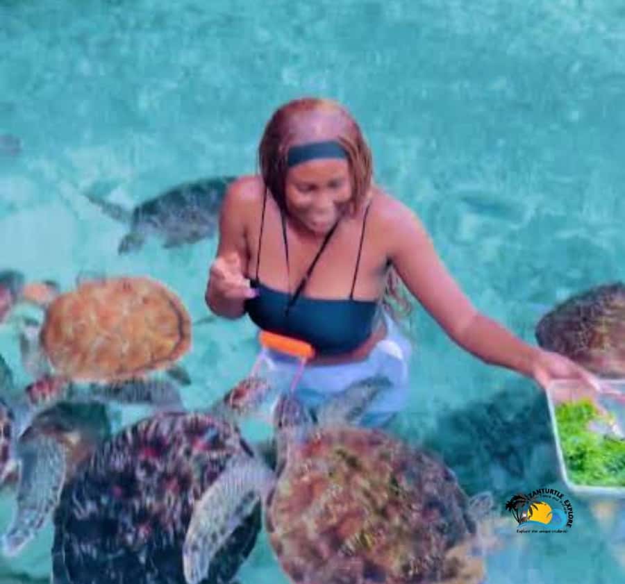 Zanzibar: Swimming with Turtles at Salaam Cave Aquarium - Who Should Book This Tour, and Who Might Want to Rethink It