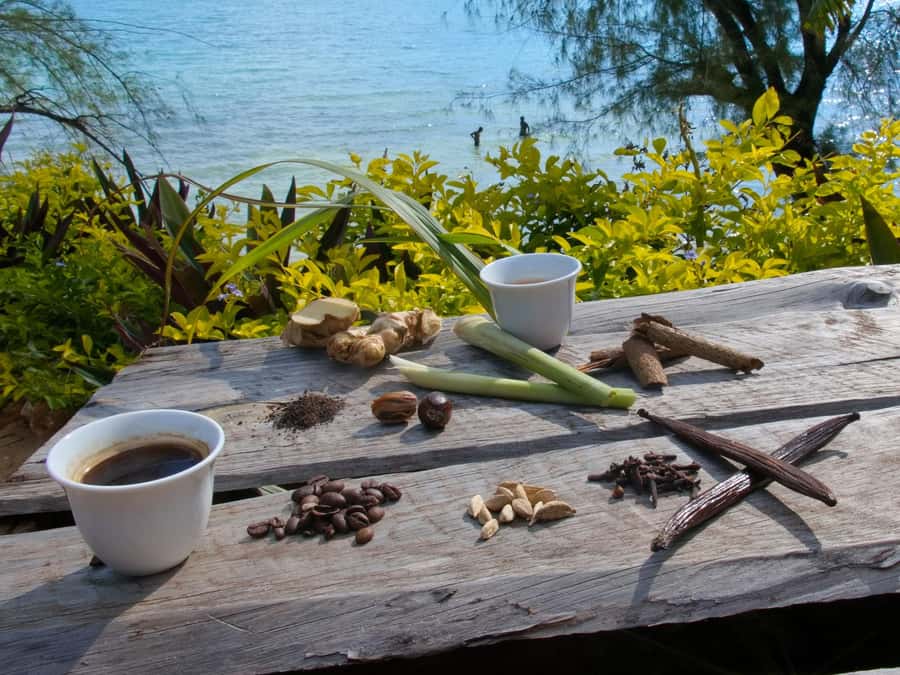 Zanzibar: The Swahili Spice Experience - Spice Tour + Culinary Journey - Kidichi Hill style spice-farm time: learn by smell, not by lecture