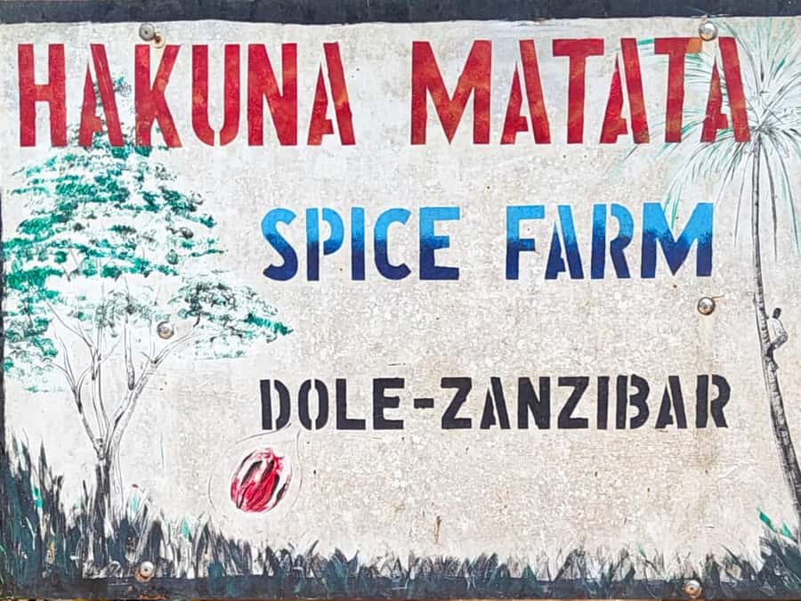 Zanzibar: The Swahili Spice Experience - Spice Tour + Culinary Journey - Value check: is $21 per person worth it