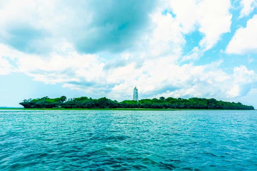Zanzibar: Tumbatu Island Private Snorkeling Adventure Tour - Coral Reality Check: Turtles, Fish, and Why Coral Condition Can Change Your Day